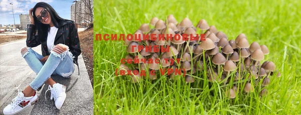 прущая мука Абинск