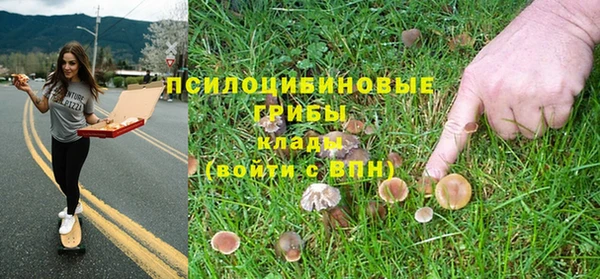 каннабис Абаза
