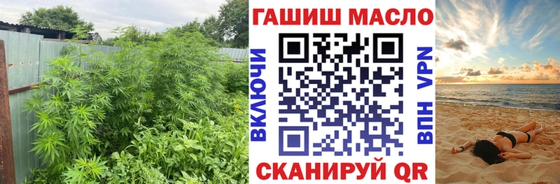 ТГК THC oil  кракен ТОР  Покачи 